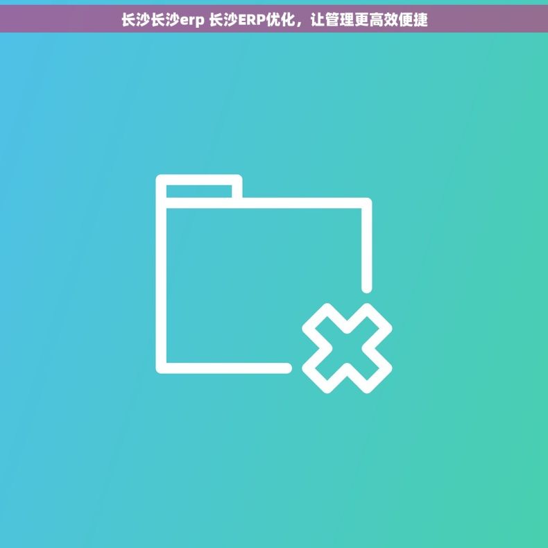 长沙长沙erp 长沙ERP优化，让管理更高效便捷