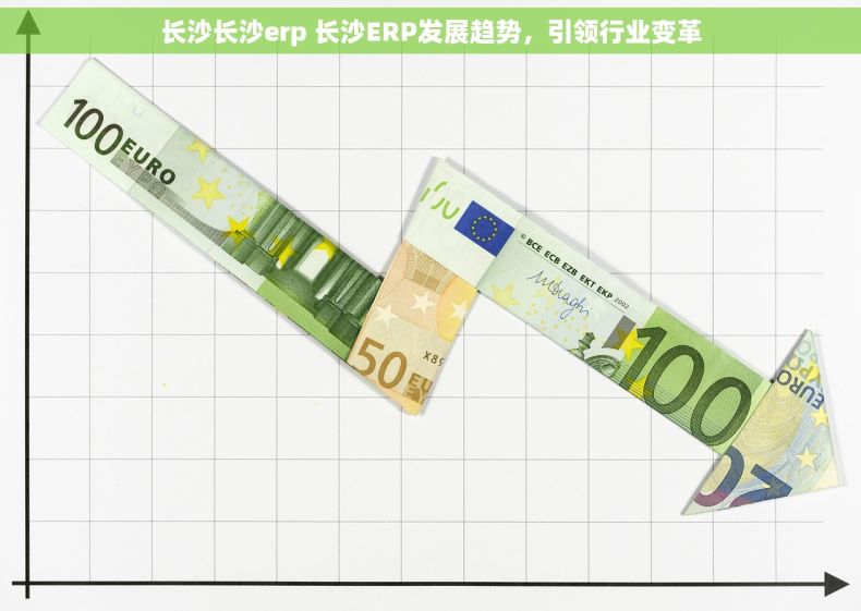 长沙长沙erp 长沙ERP发展趋势，引领行业变革