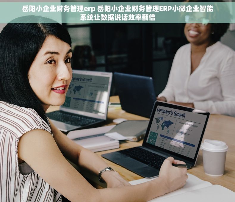 岳阳小企业财务管理erp 岳阳小企业财务管理ERP小微企业智能系统让数据说话效率翻倍