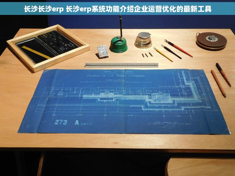 长沙长沙erp 长沙erp系统功能介绍企业运营优化的最新工具