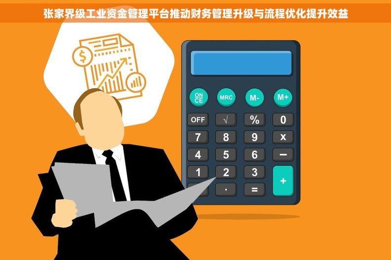 张家界级工业资金管理平台推动财务管理升级与流程优化提升效益