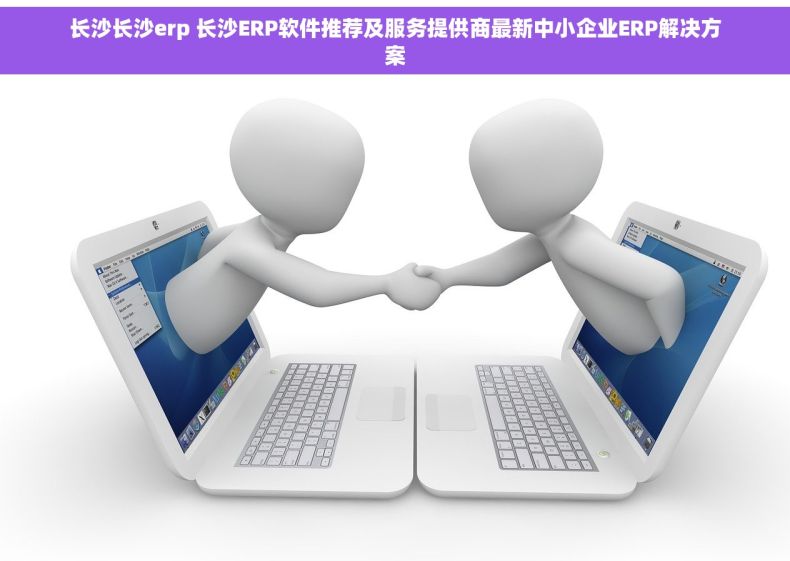 长沙长沙erp 长沙ERP软件推荐及服务提供商最新中小企业ERP解决方案