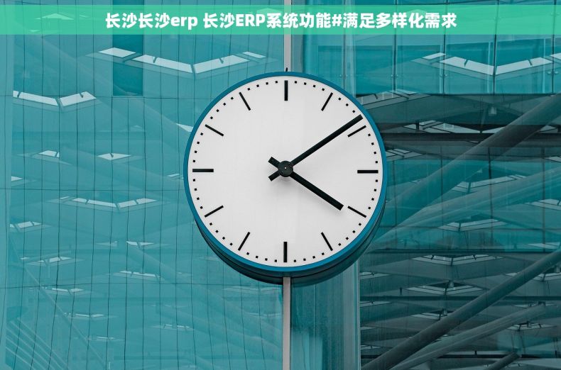 长沙长沙erp 长沙ERP系统功能#满足多样化需求