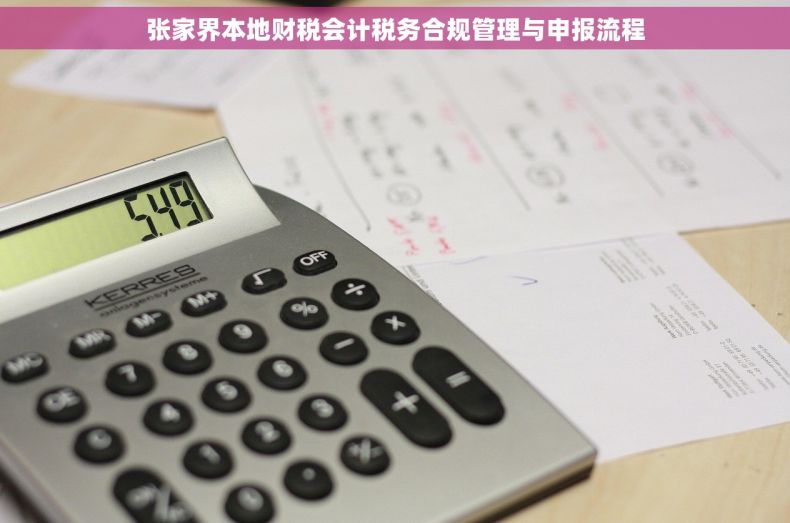 张家界本地财税会计税务合规管理与申报流程