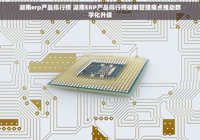 湖南erp产品排行榜 湖南ERP产品排行榜破解管理痛点推动数字化升级