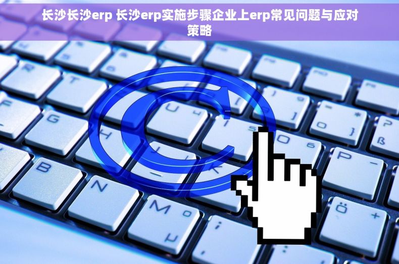 长沙长沙erp 长沙erp实施步骤企业上erp常见问题与应对策略