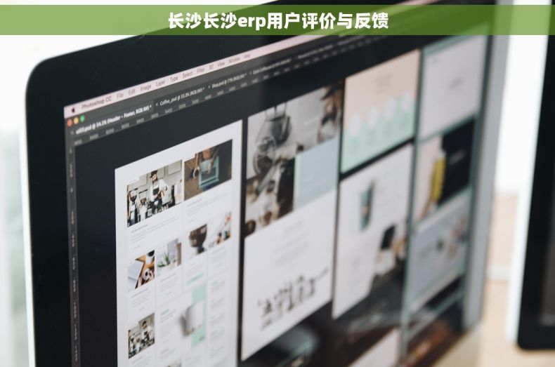 长沙长沙erp用户评价与反馈