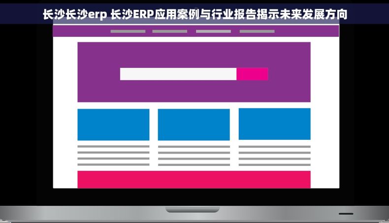 长沙长沙erp 长沙ERP应用案例与行业报告揭示未来发展方向