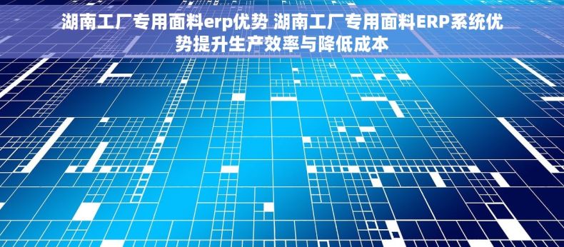湖南工厂专用面料erp优势 湖南工厂专用面料ERP系统优势提升生产效率与降低成本