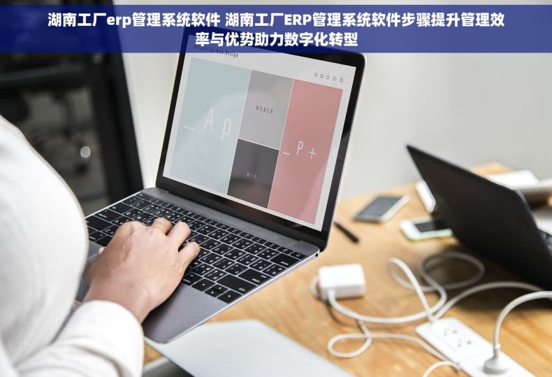 湖南工厂erp管理系统软件 湖南工厂ERP管理系统软件步骤提升管理效率与优势助力数字化转型