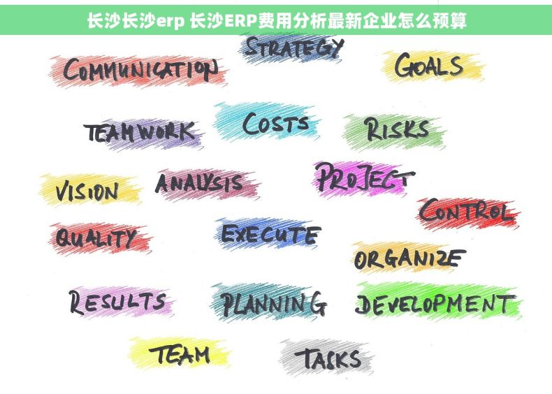 长沙长沙erp 长沙ERP费用分析最新企业怎么预算