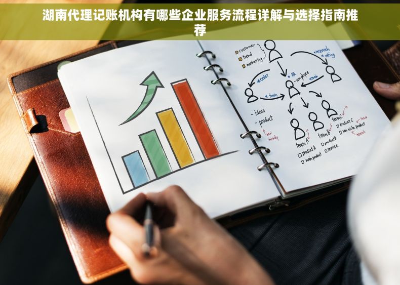 湖南代理记账机构有哪些企业服务流程详解与选择指南推荐