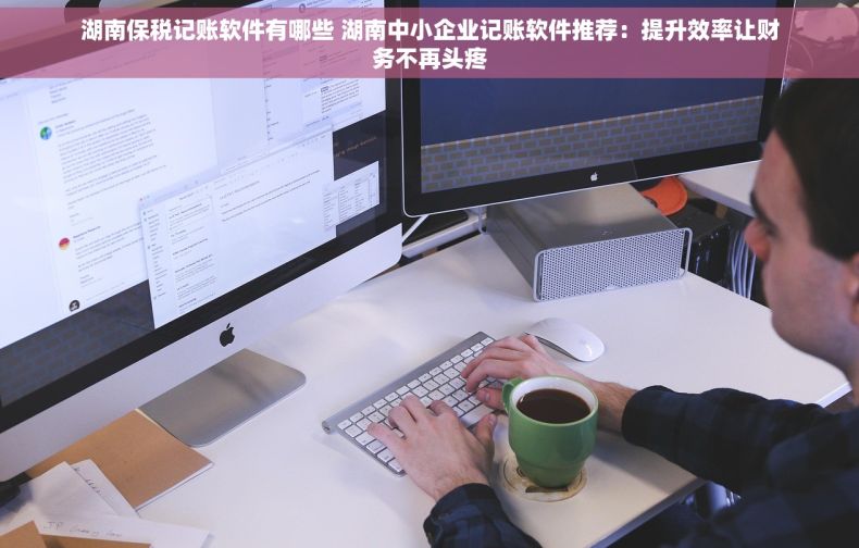 湖南保税记账软件有哪些 湖南中小企业记账软件推荐：提升效率让财务不再头疼