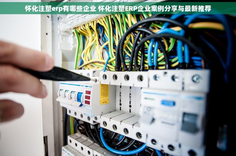 怀化注塑erp有哪些企业 怀化注塑ERP企业案例分享与最新推荐