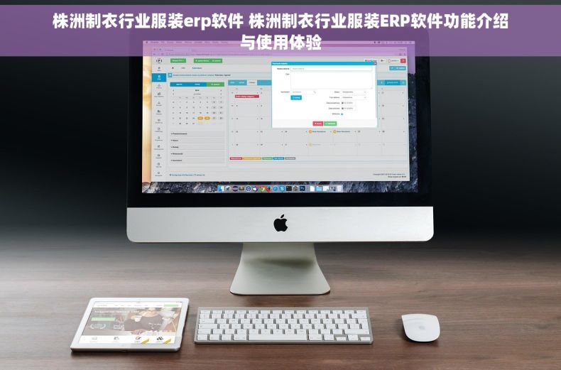株洲制衣行业服装erp软件 株洲制衣行业服装ERP软件功能介绍与使用体验