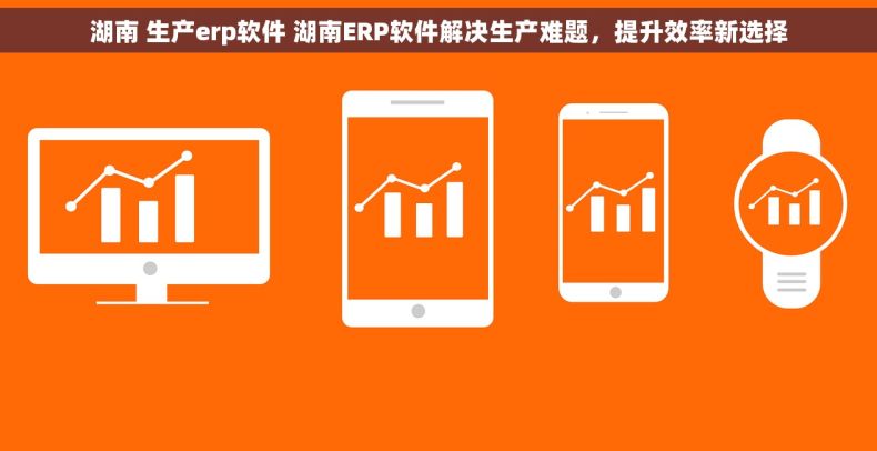 湖南 生产erp软件 湖南ERP软件解决生产难题，提升效率新选择