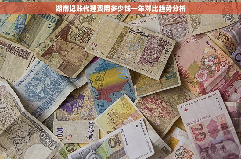 湖南记账代理费用多少钱一年对比趋势分析
