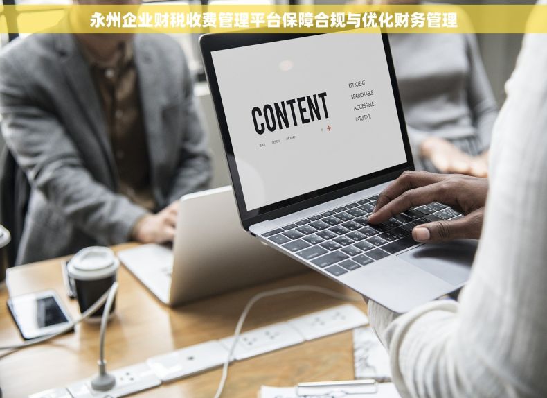 永州企业财税收费管理平台保障合规与优化财务管理