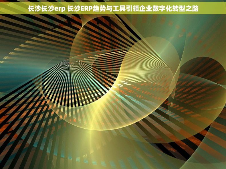 长沙长沙erp 长沙ERP趋势与工具引领企业数字化转型之路