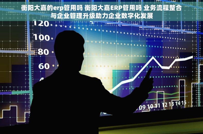 衡阳大嘉的erp管用吗 衡阳大嘉ERP管用吗 业务流程整合与企业管理升级助力企业数字化发展