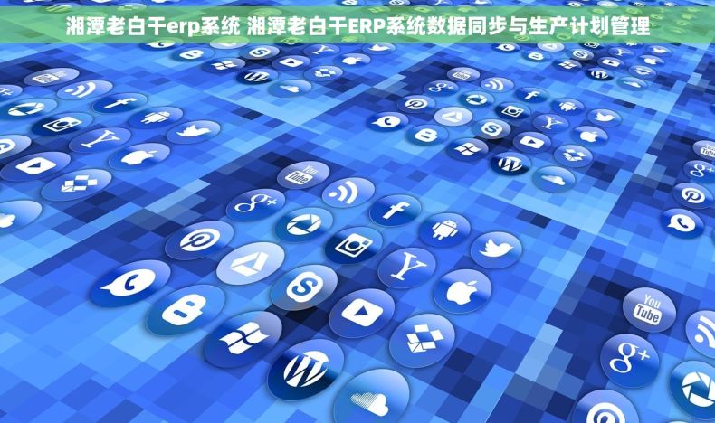 湘潭老白干erp系统 湘潭老白干ERP系统数据同步与生产计划管理
