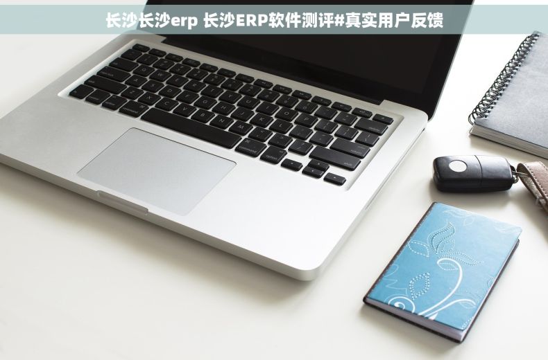 长沙长沙erp 长沙ERP软件测评#真实用户反馈