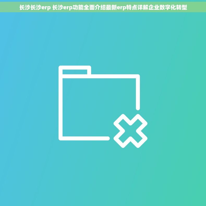 长沙长沙erp 长沙erp功能全面介绍最新erp特点详解企业数字化转型