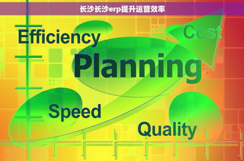 长沙长沙erp提升运营效率