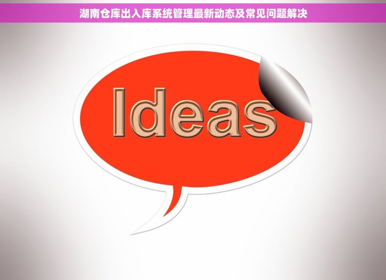 湖南仓库出入库系统管理最新动态及常见问题解决