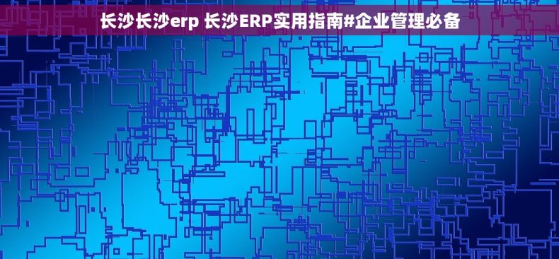 长沙长沙erp 长沙ERP实用指南#企业管理必备