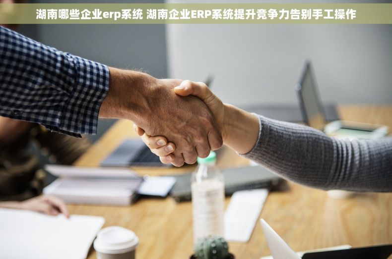 湖南哪些企业erp系统 湖南企业ERP系统提升竞争力告别手工操作