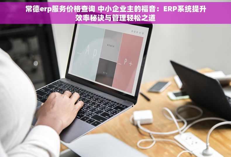 常德erp服务价格查询 中小企业主的福音：ERP系统提升效率秘诀与管理轻松之道