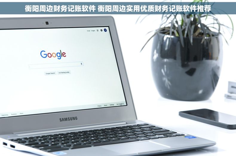 衡阳周边财务记账软件 衡阳周边实用优质财务记账软件推荐