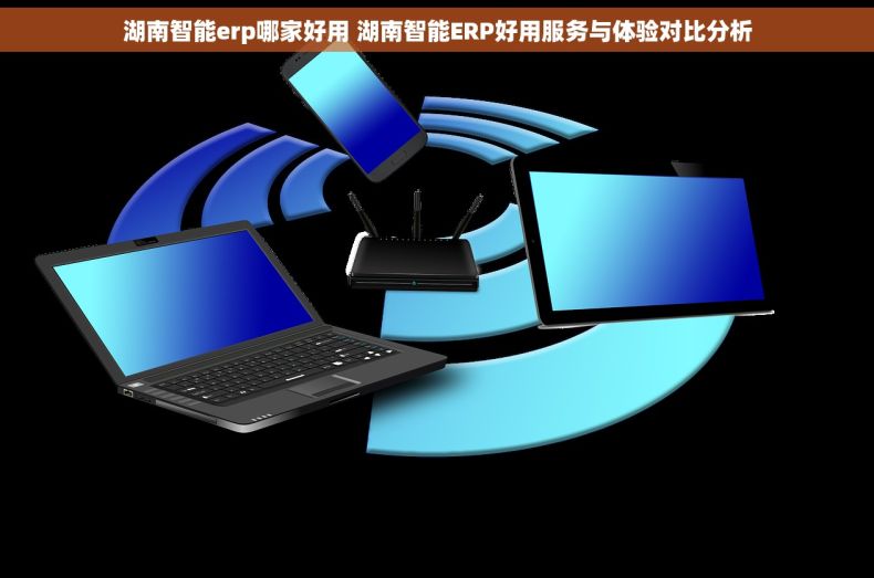 湖南智能erp哪家好用 湖南智能ERP好用服务与体验对比分析