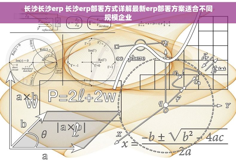 长沙长沙erp 长沙erp部署方式详解最新erp部署方案适合不同规模企业