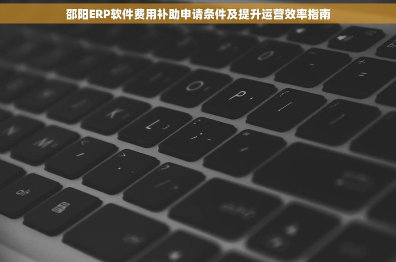 邵阳ERP软件费用补助申请条件及提升运营效率指南