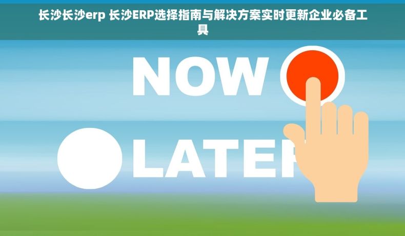 长沙长沙erp 长沙ERP选择指南与解决方案实时更新企业必备工具