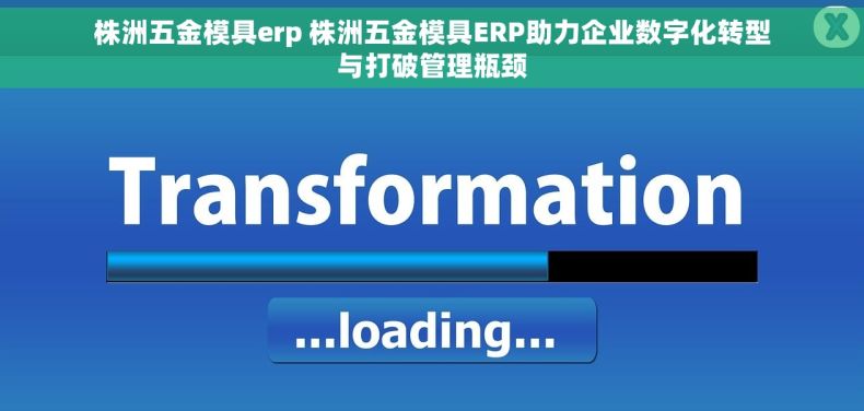 株洲五金模具erp 株洲五金模具ERP助力企业数字化转型与打破管理瓶颈
