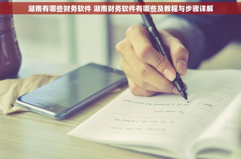 湖南有哪些财务软件 湖南财务软件有哪些及教程与步骤详解