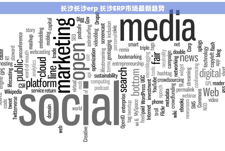 长沙长沙erp 长沙ERP市场最新趋势