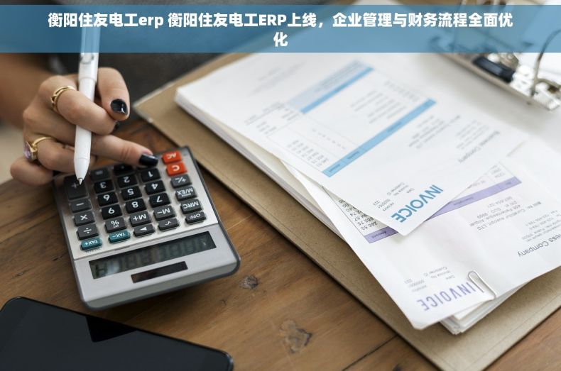 衡阳住友电工erp 衡阳住友电工ERP上线，企业管理与财务流程全面优化