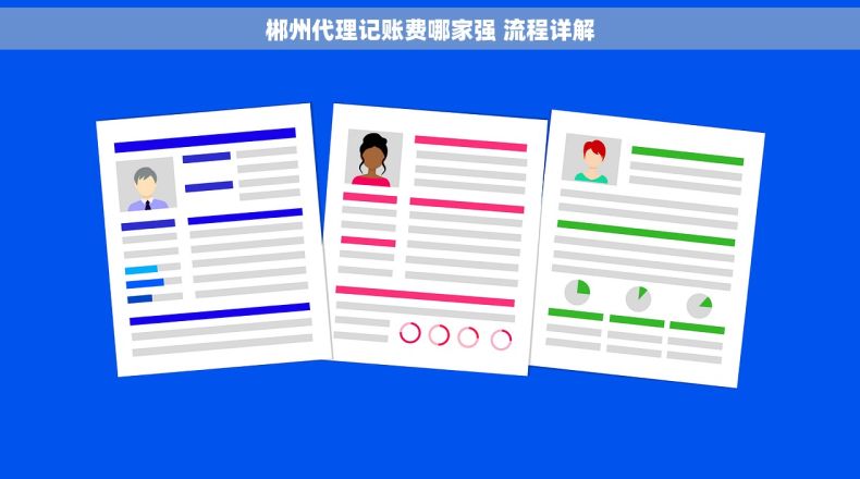 郴州代理记账费哪家强 流程详解