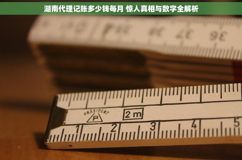 湖南代理记账多少钱每月 惊人真相与数字全解析