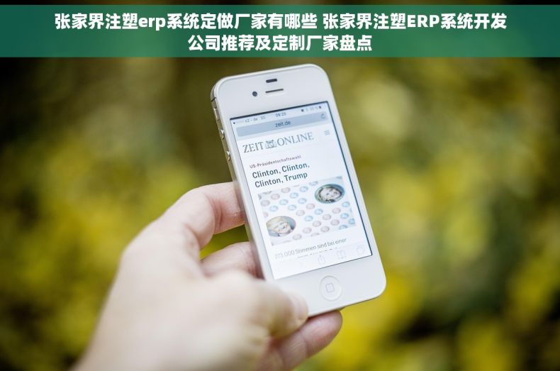 张家界注塑erp系统定做厂家有哪些 张家界注塑ERP系统开发公司推荐及定制厂家盘点