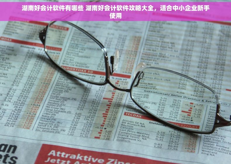湖南好会计软件有哪些 湖南好会计软件攻略大全，适合中小企业新手使用
