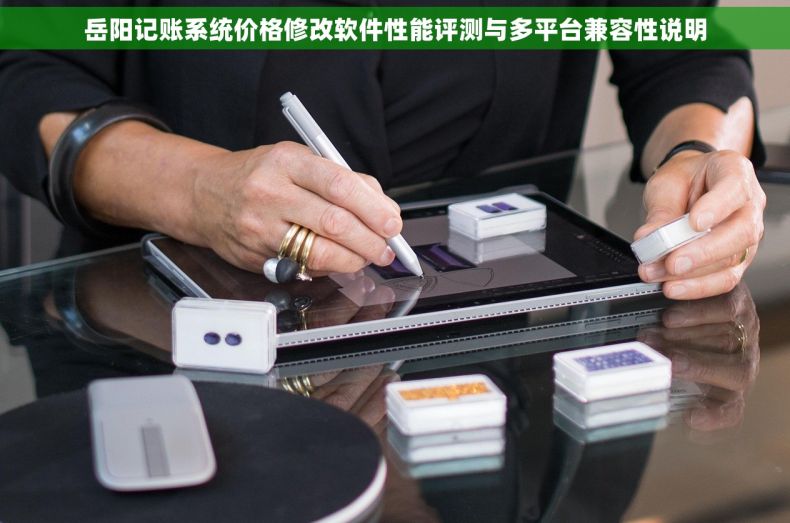 岳阳记账系统价格修改软件性能评测与多平台兼容性说明