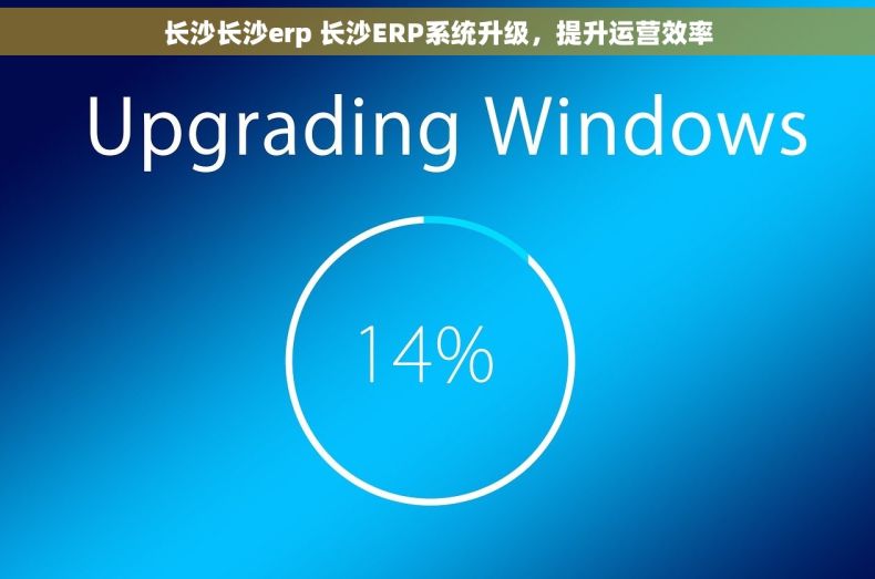 长沙长沙erp 长沙ERP系统升级，提升运营效率