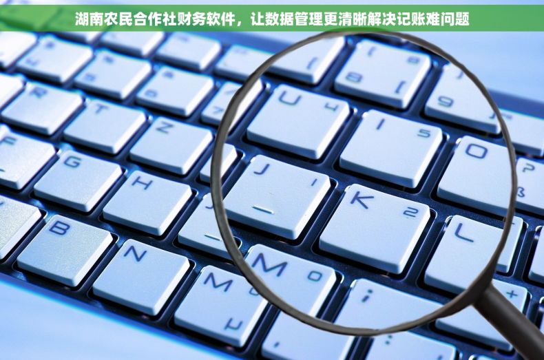 湖南农民合作社财务软件，让数据管理更清晰解决记账难问题
