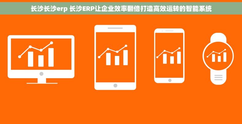 长沙长沙erp 长沙ERP让企业效率翻倍打造高效运转的智能系统