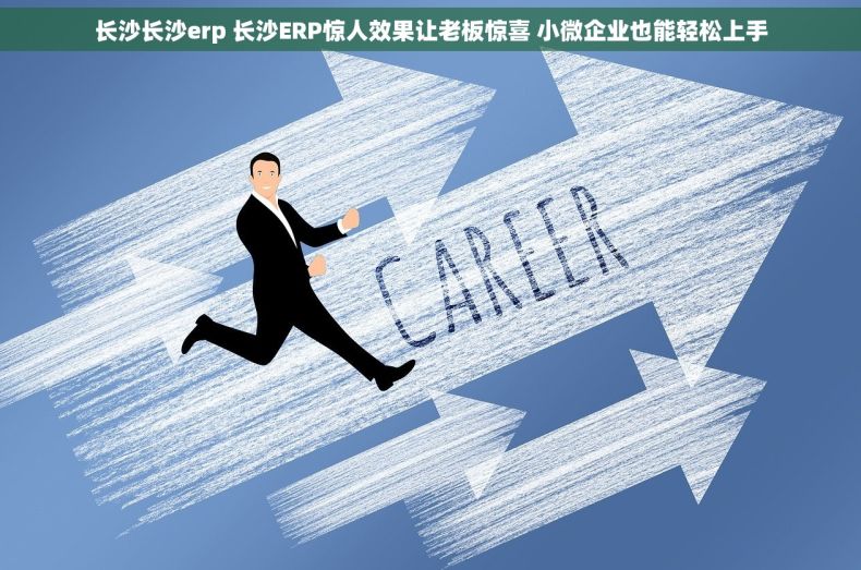 长沙长沙erp 长沙ERP惊人效果让老板惊喜 小微企业也能轻松上手